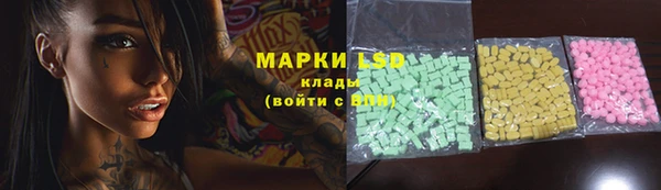 ECSTASY Алзамай