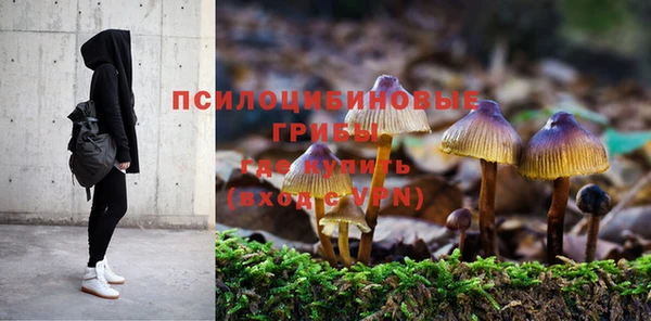 ECSTASY Алзамай