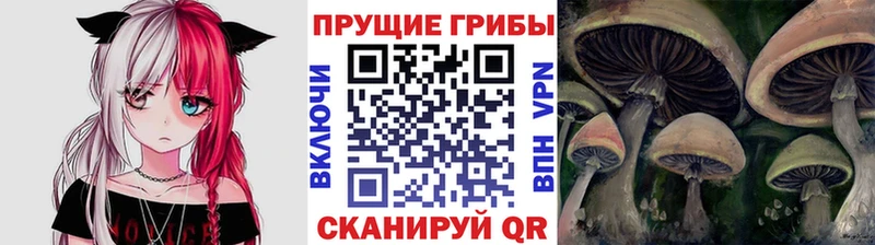 наркошоп  Ясный  Псилоцибиновые грибы мицелий 